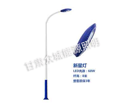 白银爆款市电路灯