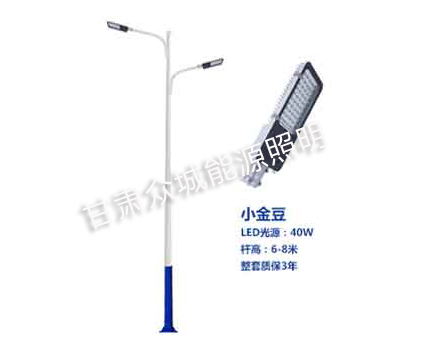 白银爆款市电路灯